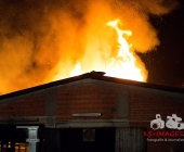 Großbrand zweier Hallen auf Landwirtschftlichem Anwesen - Kühe im Flammenmeer gefangen