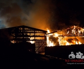 Großbrand zweier Hallen auf Landwirtschftlichem Anwesen - Kühe im Flammenmeer gefangen