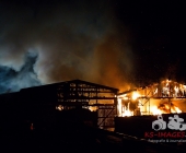 Großbrand zweier Hallen auf Landwirtschftlichem Anwesen - Kühe im Flammenmeer gefangen