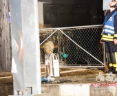 Großbrand zweier Hallen auf Landwirtschftlichem Anwesen - Kühe im Flammenmeer gefangen