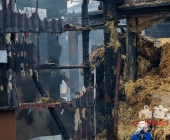 [Nachschlag Tagbilder] Großbrand zweier Hallen auf Landwirtschftlichem Anwesen - Kühe im Flammenmeer gefangen