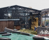 [Nachschlag Tagbilder] Großbrand zweier Hallen auf Landwirtschftlichem Anwesen - Kühe im Flammenmeer gefangen