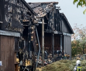 [Nachschlag Tagbilder] Großbrand zweier Hallen auf Landwirtschftlichem Anwesen - Kühe im Flammenmeer gefangen