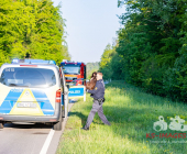 Verkehrsunfall im Begegnungsverkehr – Beide Fahrzeuge landen im Wald – Hund von Polizei im Wald eingefangen auf die Dienstelle verbracht