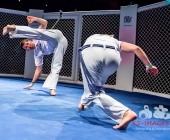 Age of Cage 5 - MMA-Käfigkampf im Stuttgarter LKA Longhorn