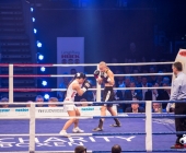 boxkampf-hueck-vs-kasniqi-16-11-2013_-0103