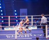 boxkampf-hueck-vs-kasniqi-16-11-2013_-0109