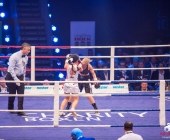 boxkampf-hueck-vs-kasniqi-16-11-2013_-0112