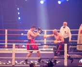boxkampf-hueck-vs-kasniqi-16-11-2013_-0175