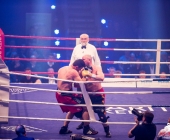 boxkampf-hueck-vs-kasniqi-16-11-2013_-0184