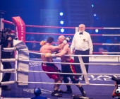 boxkampf-hueck-vs-kasniqi-16-11-2013_-0185