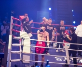 boxkampf-hueck-vs-kasniqi-16-11-2013_-0196