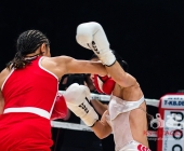 Benefiz-Veranstaltung Blaue Flecke für soziale Zwecke - Uwe Hück vs. Francois Botha im Ring