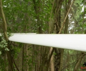 Segelflieger stÃ¼rzt im Waldgebiet ab - Familienvater schwer verletzt