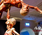 Anatomie des Glücks - Impressionen Körperwelten-Museum