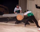 stihl-timbersports-weiltmeisterschaft-stuttgart-25-10-2013_-0089