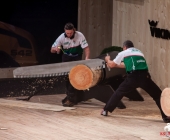 stihl-timbersports-weiltmeisterschaft-stuttgart-25-10-2013_-0090