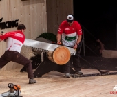 stihl-timbersports-weiltmeisterschaft-stuttgart-25-10-2013_-0127