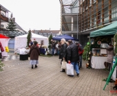 weihnachtsmarkt-schwaikheim-14-12-2013_0003