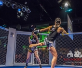 Age of Cage geht in die 4. Runde - Kampfsport im Käfig Impression aus dem LKA Stuttgart