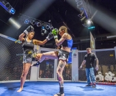 Age of Cage geht in die 4. Runde - Kampfsport im Käfig Impression aus dem LKA Stuttgart