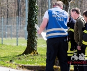 Sucheinsatz! Pferd kommt ohne Reiter zum Anwesen zurück - Polizei und Feuerwehr im Wald zur Suche