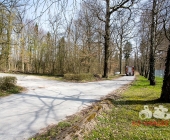 Sucheinsatz! Pferd kommt ohne Reiter zum Anwesen zurück - Polizei und Feuerwehr im Wald zur Suche