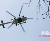 Sucheinsatz! Pferd kommt ohne Reiter zum Anwesen zurück - Polizei und Feuerwehr im Wald zur Suche