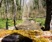 Sucheinsatz! Pferd kommt ohne Reiter zum Anwesen zurück - Polizei und Feuerwehr im Wald zur Suche
