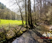 Sucheinsatz! Pferd kommt ohne Reiter zum Anwesen zurück - Polizei und Feuerwehr im Wald zur Suche