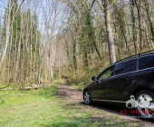 Sucheinsatz! Pferd kommt ohne Reiter zum Anwesen zurück - Polizei und Feuerwehr im Wald zur Suche