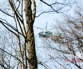 Sucheinsatz! Pferd kommt ohne Reiter zum Anwesen zurück - Polizei und Feuerwehr im Wald zur Suche