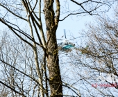 Sucheinsatz! Pferd kommt ohne Reiter zum Anwesen zurück - Polizei und Feuerwehr im Wald zur Suche