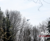 Sucheinsatz! Pferd kommt ohne Reiter zum Anwesen zurück - Polizei und Feuerwehr im Wald zur Suche