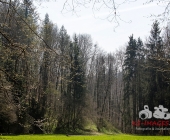 Sucheinsatz! Pferd kommt ohne Reiter zum Anwesen zurück - Polizei und Feuerwehr im Wald zur Suche