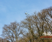 Sucheinsatz! Pferd kommt ohne Reiter zum Anwesen zurück - Polizei und Feuerwehr im Wald zur Suche