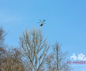Sucheinsatz! Pferd kommt ohne Reiter zum Anwesen zurück - Polizei und Feuerwehr im Wald zur Suche