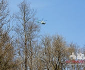 Sucheinsatz! Pferd kommt ohne Reiter zum Anwesen zurück - Polizei und Feuerwehr im Wald zur Suche