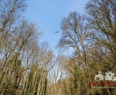 Sucheinsatz! Pferd kommt ohne Reiter zum Anwesen zurück - Polizei und Feuerwehr im Wald zur Suche