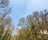 Sucheinsatz! Pferd kommt ohne Reiter zum Anwesen zurück - Polizei und Feuerwehr im Wald zur Suche