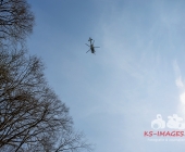 Sucheinsatz! Pferd kommt ohne Reiter zum Anwesen zurück - Polizei und Feuerwehr im Wald zur Suche