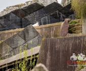 "Love is in the Air" war gestern! Wilhelma Tiere noch im "Chillmodus"