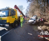 Unfall Rielingshausen PKW im Wald