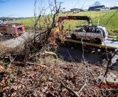 Unfall Rielingshausen PKW im Wald