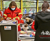 Fliegerbombe bei Bauarbeiten gefunden - Entschärfung folgt nach der Evakuierung