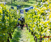 Bei der Weinlese mit einem Weinbergtraktor verunglückt – Feuerwehr muss unter dem Traktor eingeklemmten mit schwerem hydraulischem Rettungsgerät befreien - Rettungshubschrauber transportiert Verletzten in die Klinik