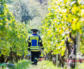 Bei der Weinlese mit einem Weinbergtraktor verunglückt – Feuerwehr muss unter dem Traktor eingeklemmten mit schwerem hydraulischem Rettungsgerät befreien - Rettungshubschrauber transportiert Verletzten in die Klinik