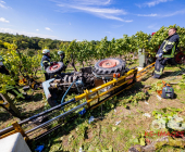 Bei der Weinlese mit einem Weinbergtraktor verunglückt – Feuerwehr muss unter dem Traktor eingeklemmten mit schwerem hydraulischem Rettungsgerät befreien - Rettungshubschrauber transportiert Verletzten in die Klinik