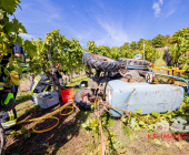 Bei der Weinlese mit einem Weinbergtraktor verunglückt – Feuerwehr muss unter dem Traktor eingeklemmten mit schwerem hydraulischem Rettungsgerät befreien - Rettungshubschrauber transportiert Verletzten in die Klinik