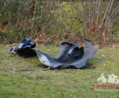 Erste Motive **Brand in Aussegnungshalle Ingersheim nach Schweißarbeiten**